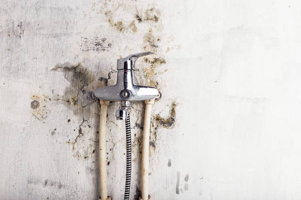 Best Mold Testing  in Perry, OK