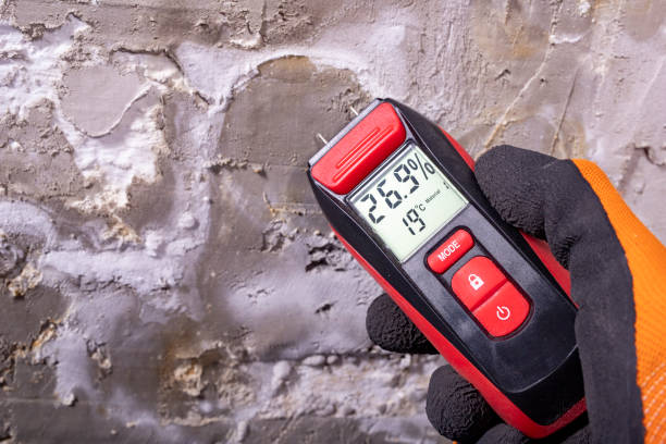Home Mold Removal in Perry, OK