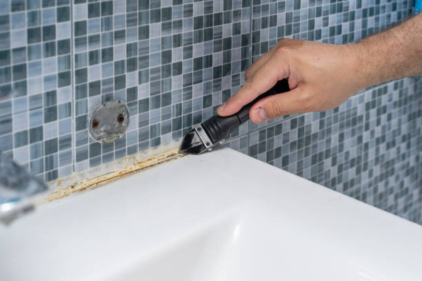 Best Mold Testing  in Perry, OK
