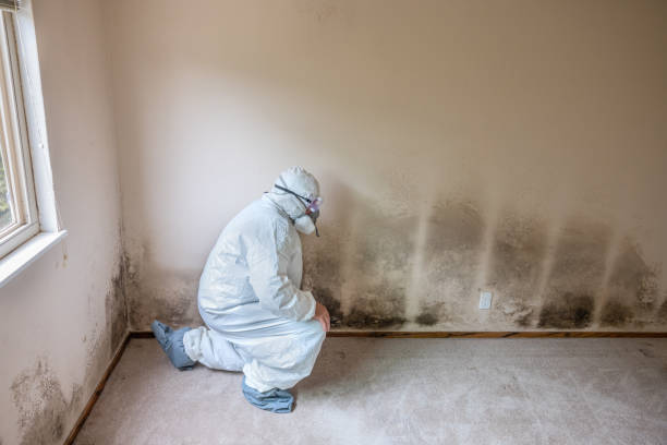 Crawl Space Mold Removal in Perry, OK